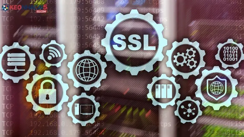 Hệ thống bảo mật tối ưu